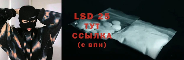 ГАЛЛЮЦИНОГЕННЫЕ ГРИБЫ Алзамай