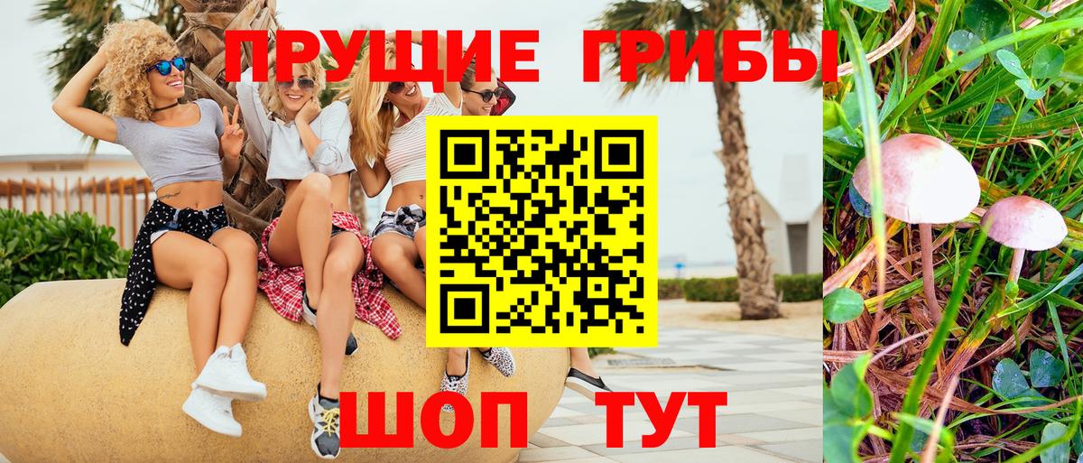 Галлюциногенные грибы Cubensis Апшеронск